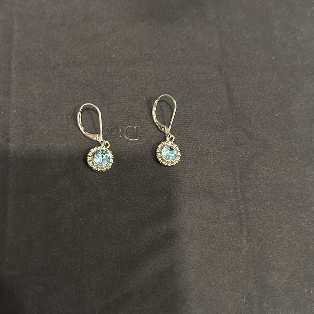 Clasp earrings